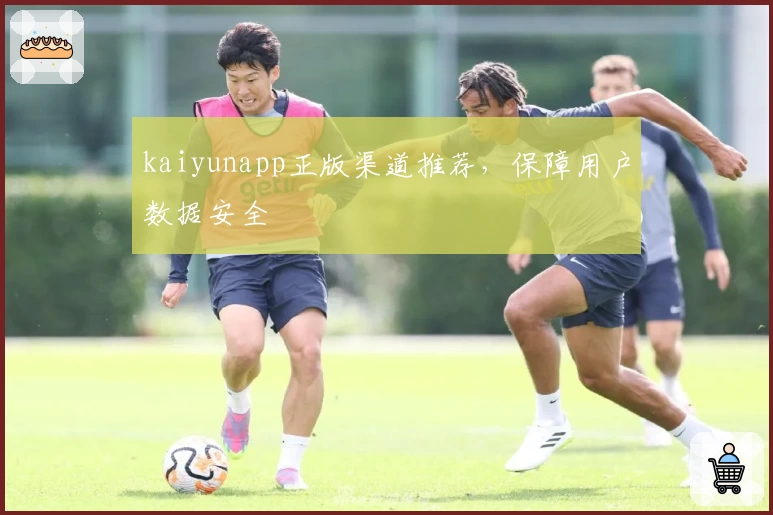 kaiyunapp正版渠道推荐，保障用户数据安全