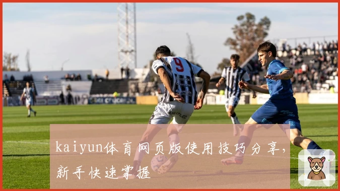 kaiyun体育网页版使用技巧分享，新手快速掌握