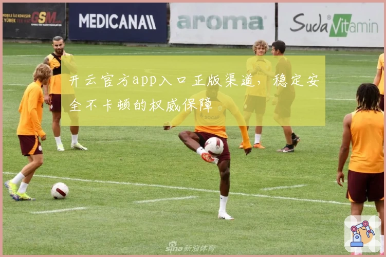 开云官方app入口正版渠道,稳定安全不卡顿的权威保障