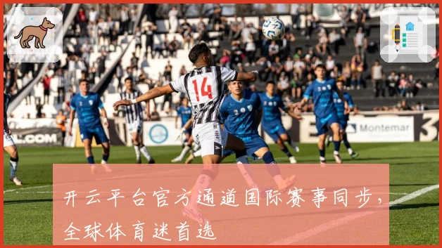 开云平台官方通道国际赛事同步，全球体育迷首选