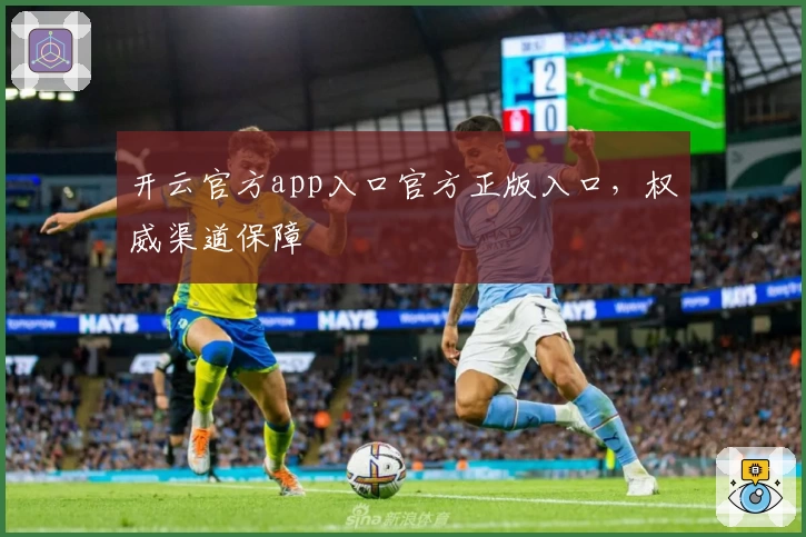 开云官方app入口官方正版入口，权威渠道保障