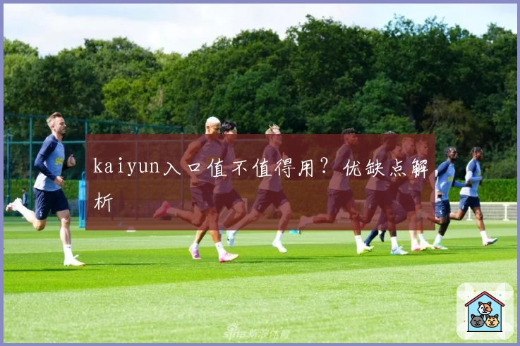 kaiyun入口值不值得用？优缺点解析